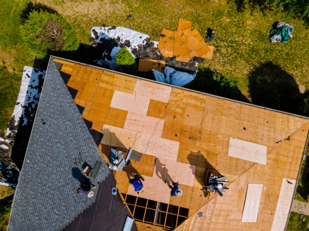 Best Metal Roofing Contractor  in Las Flores, CA
